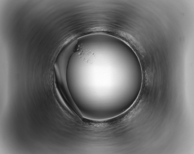X0000093751225200710161151