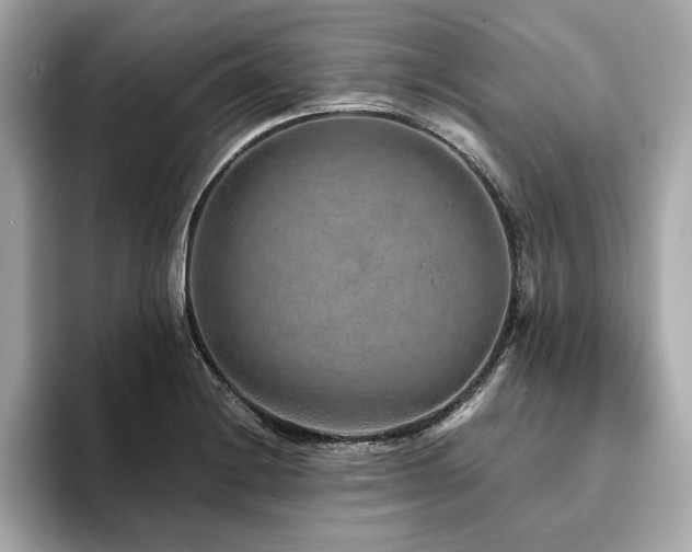 X0000093751228200710161151