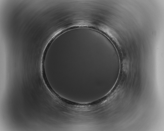 X0000093751229200710161151