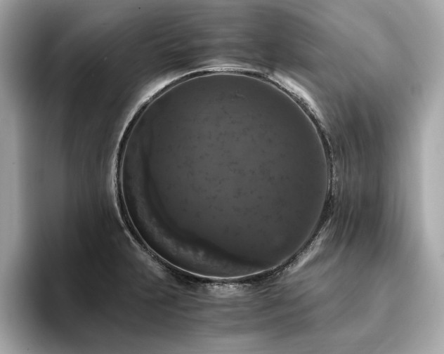 X0000093751231200710161151