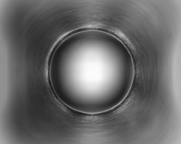X0000093751232200710161151