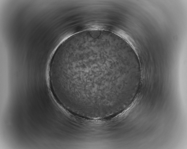 X0000093751235200710161151