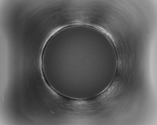 X0000093751239200710161151