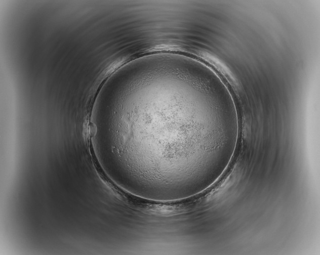 X0000093751241200710161151