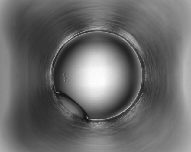 X0000093751242200710161151