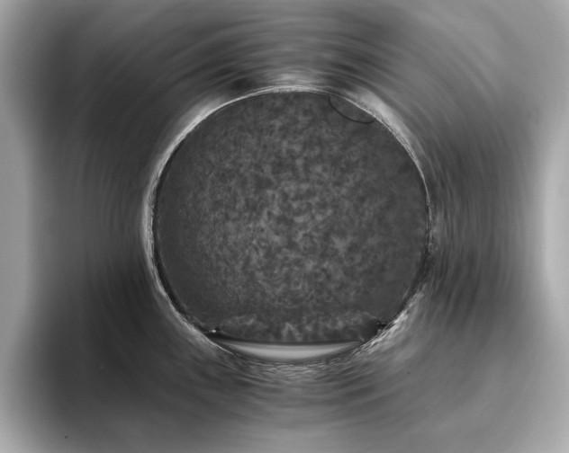 X0000093751243200710161151