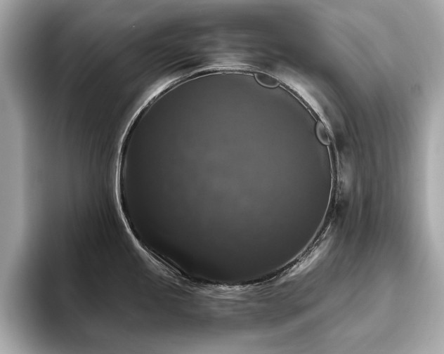 X0000093751245200710161151