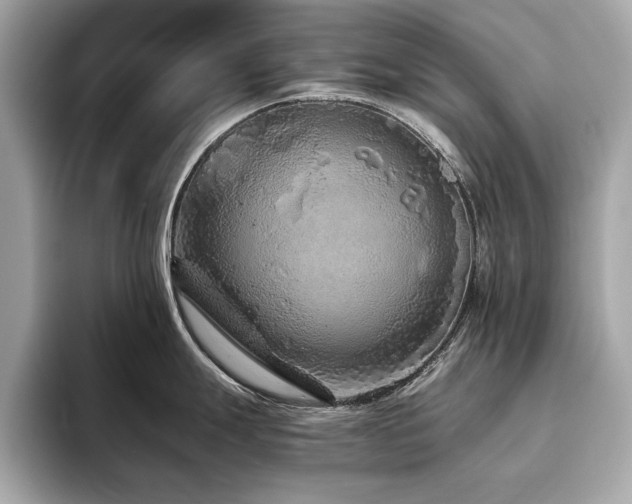X0000093751247200710161151