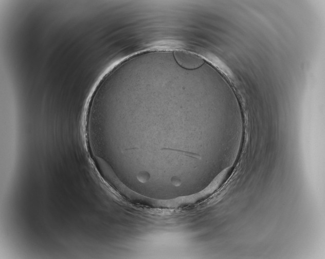 X0000093751248200710161151
