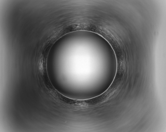 X0000093751250200710161151