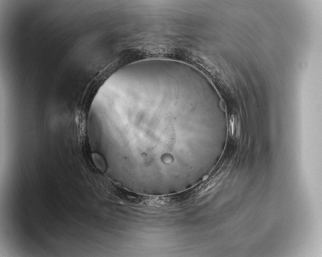 X0000093751251200710161151