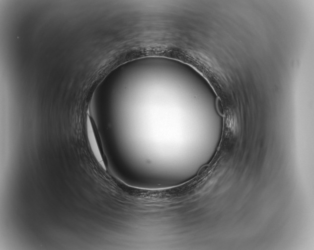 X0000093751252200710161151