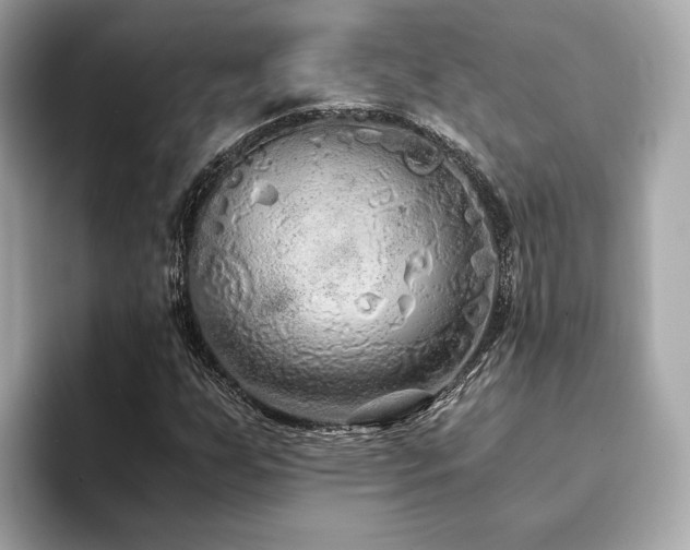 X0000093751255200710161151
