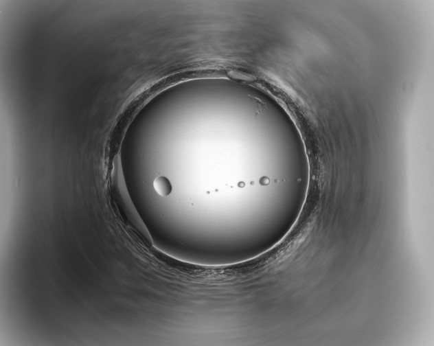 X0000093751259200710161151