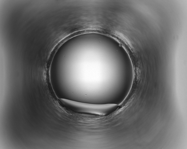 X0000093751260200710161151