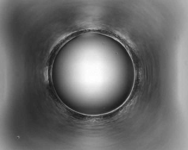 X0000093751262200710161151