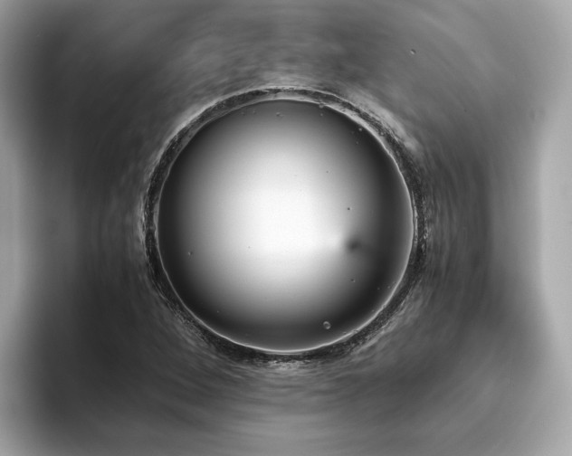 X0000093751264200710161151