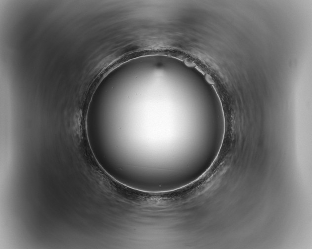 X0000093751265200710161151