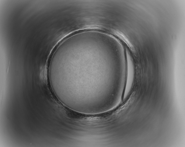 X0000093751268200710161151