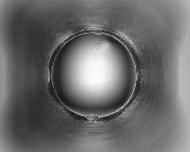 X0000093751269200710161151