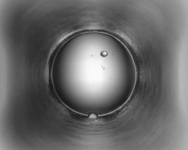 X0000093751270200710161151