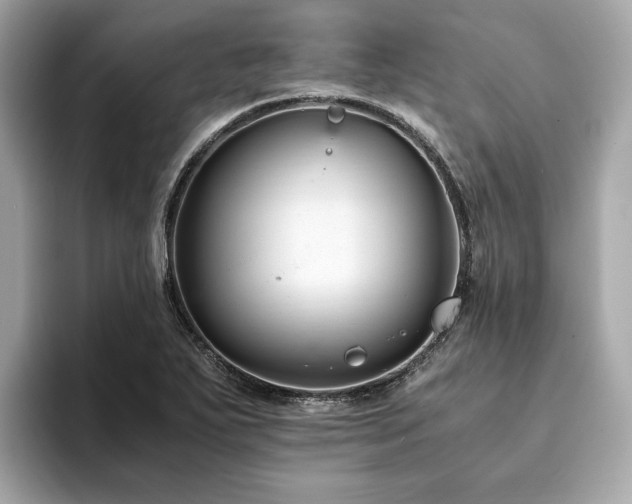 X0000093751271200710161151