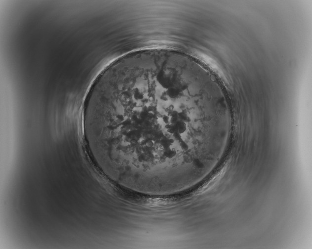 X0000093751275200710161150