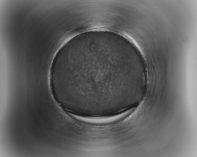 X0000093751277200710161150