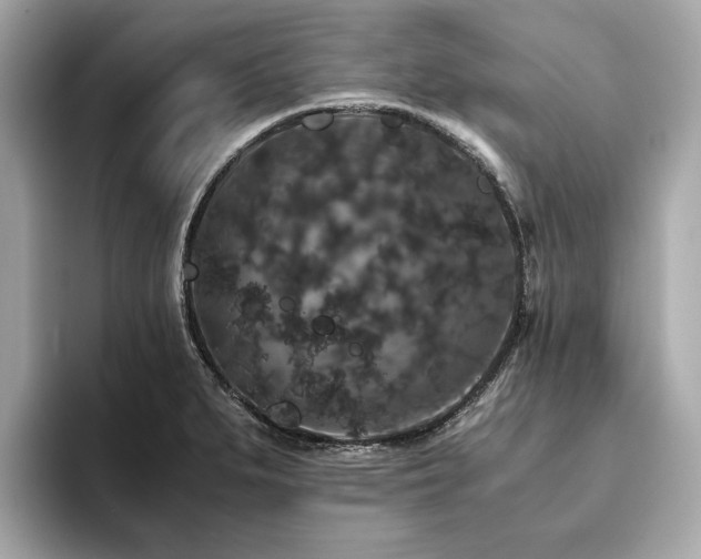 X0000093751279200710161150