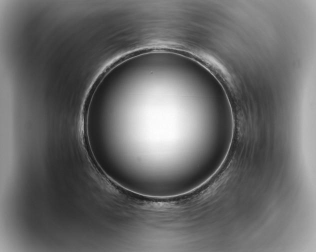 X0000093751280200710161150