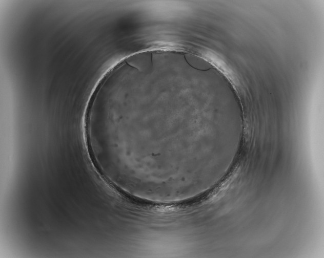 X0000093751283200710161150