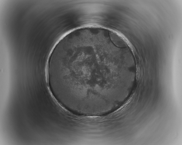 X0000093751295200710161150