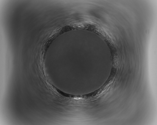 X0000093751297200710161150