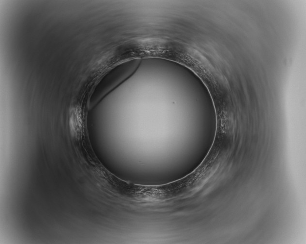 X0000093751298200710161150
