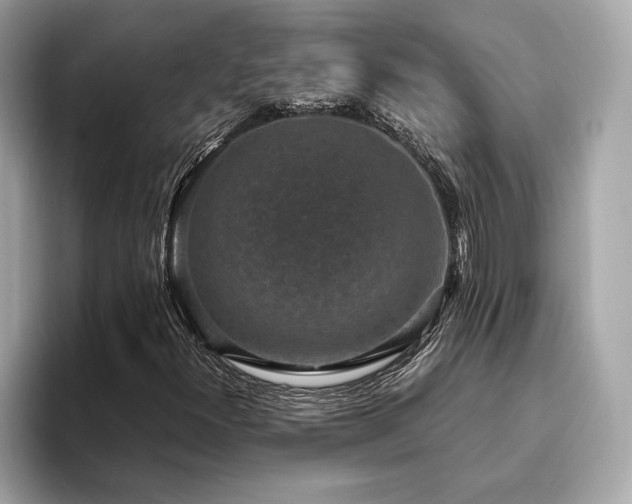 X0000093751300200710161150