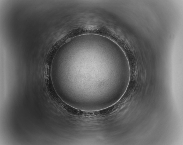 X0000093751301200710161150