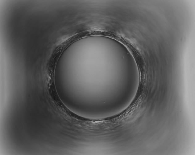 X0000093751303200710161150