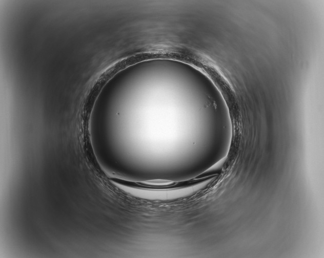 X0000093751304200710161150