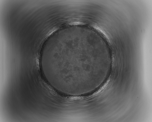 X0000093751305200710161150