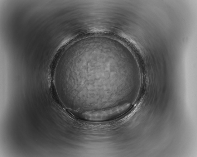 X0000093751306200710161150