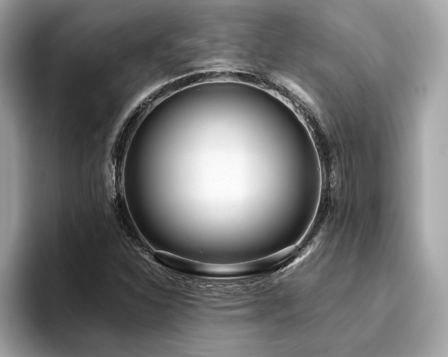 X0000093751310200710161150