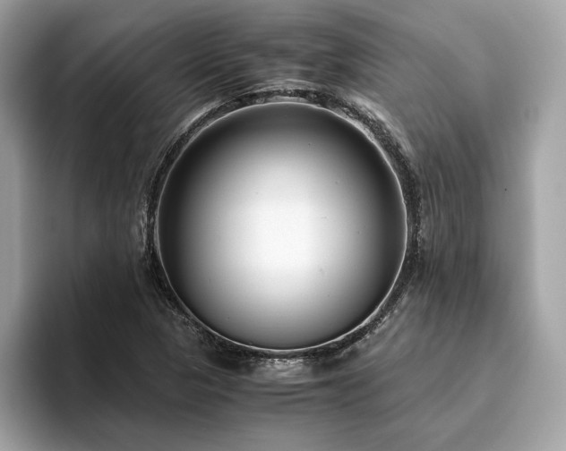 X0000093751313200710161150