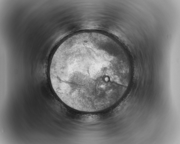 X0000093751314200710161150