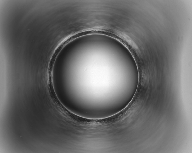 X0000093751316200710161150