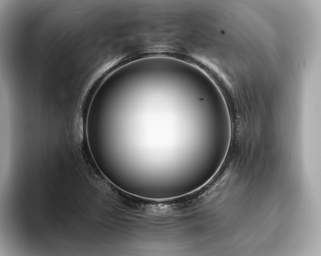 X0000093751317200710161150