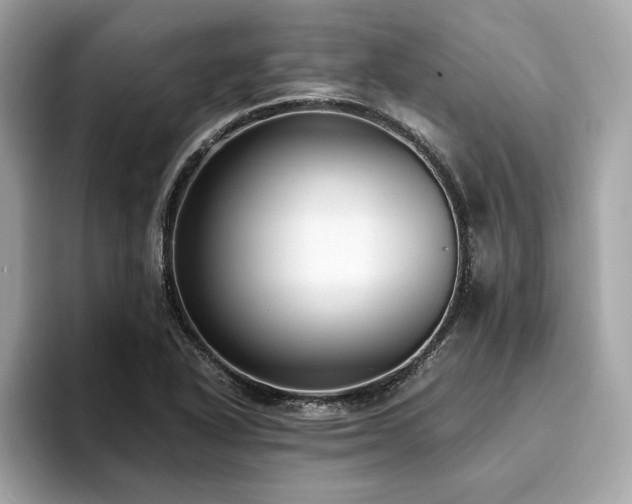X0000093751318200710161150