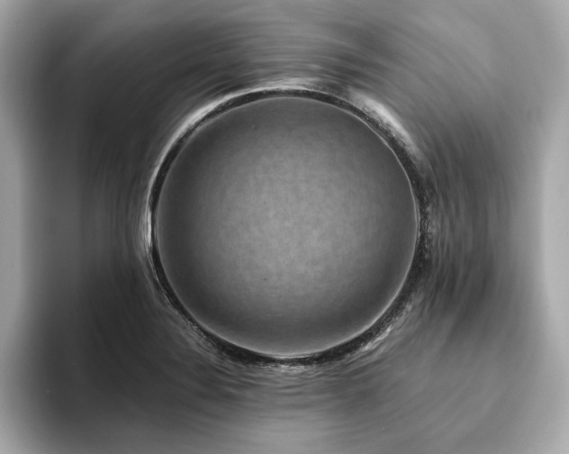 X0000093751324200710161150
