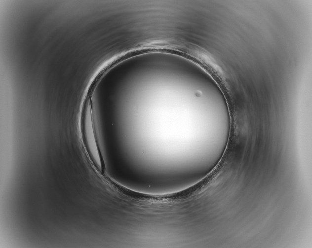 X0000093751328200710161150