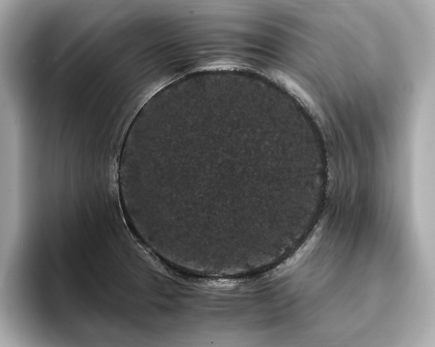 X0000093751329200710161150