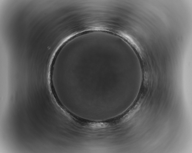 X0000093751331200710161150